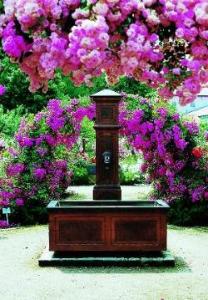 Brunnen mit Rosenbogen