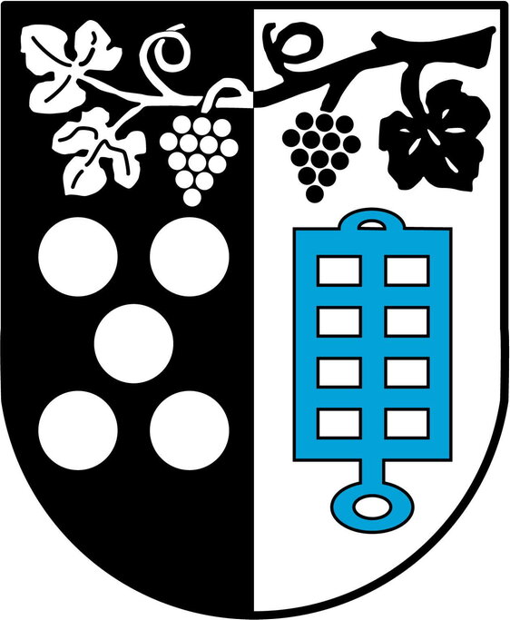 Aktuelles Wappen der Stadt