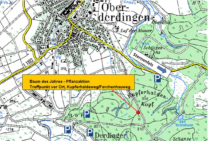 Baum des Jahres, 2025, August, Roteiche, Baumpflanzaktion