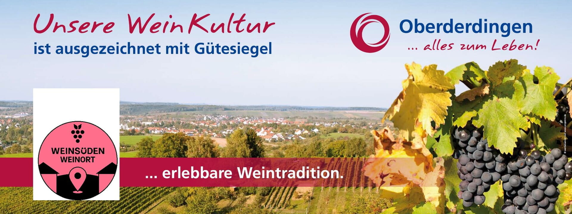 Weinregion mit Weintradition in Oberderdingen