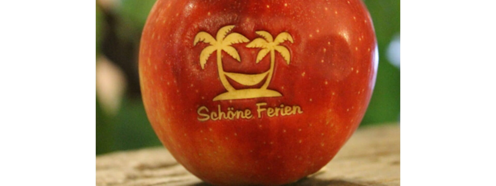 Sommergruß des Bürgermeisters