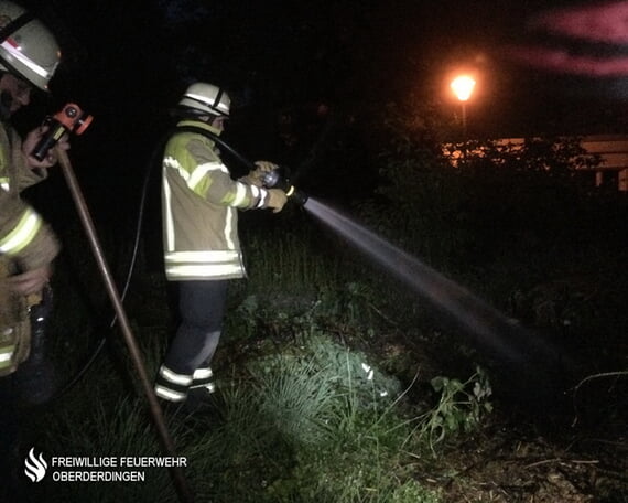 Gestrüppbrand