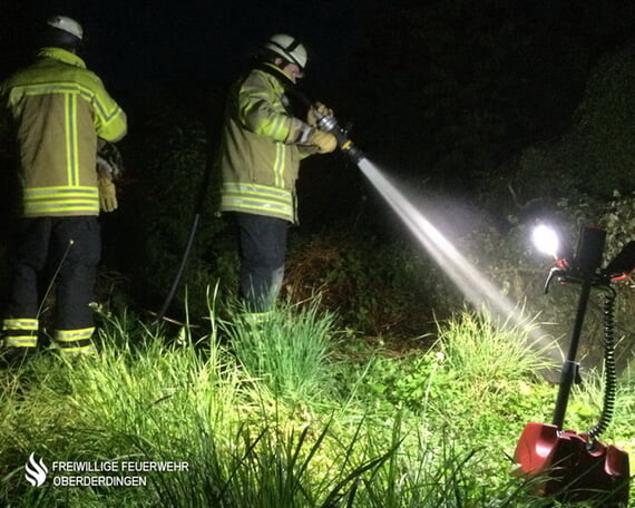 Gestrüppbrand