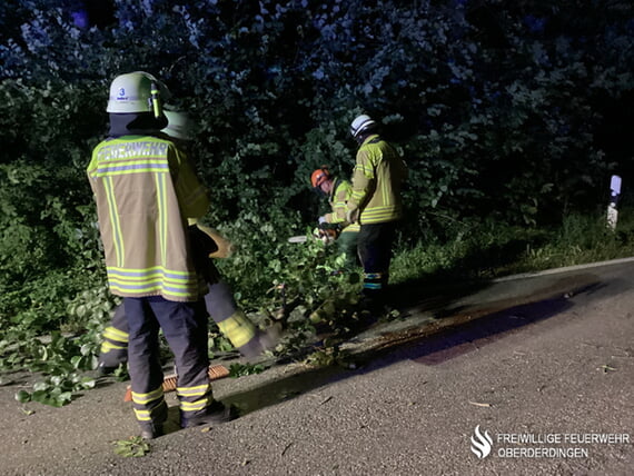 Baum auf Fahrbahn