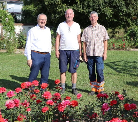 Rexer, Rosengarten, Neu, 2025, August