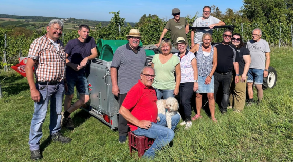 Weinlese, Gemeinderatswein, Gemeinderat, Wein, 2025, September