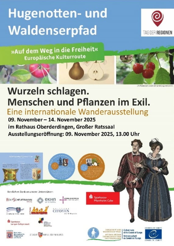 Wurzeln schlagen, Kunst, 2025, November, Ausstellung, Ratssaal, Kultur, Hugenotten 
