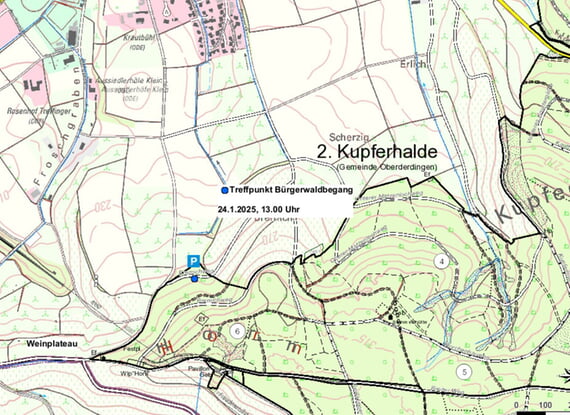 F&ouml;rster, Waldbegang, Besichtigung, 2026, 