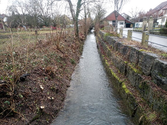Kohlbach, Schneiden, 2026, M&auml;rz, Holzung, 
