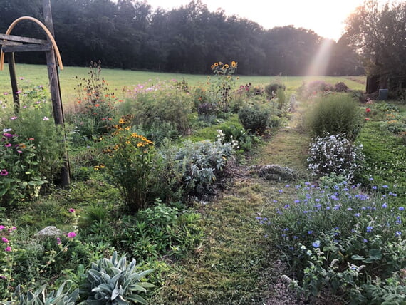 Wochenmarkt, Beschicker, neu, Leonhardt, Blumen, M&auml;rz, 2026