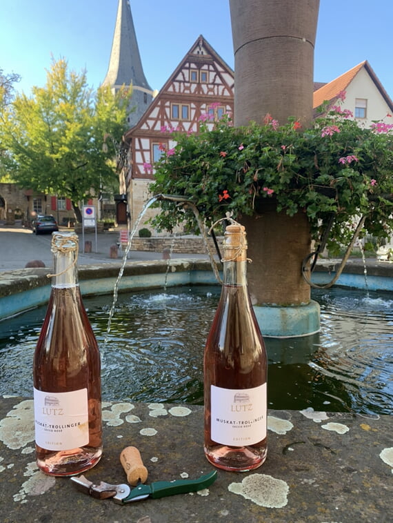 Brunnen, Wein, 2026, 