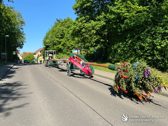 Maibaumfest