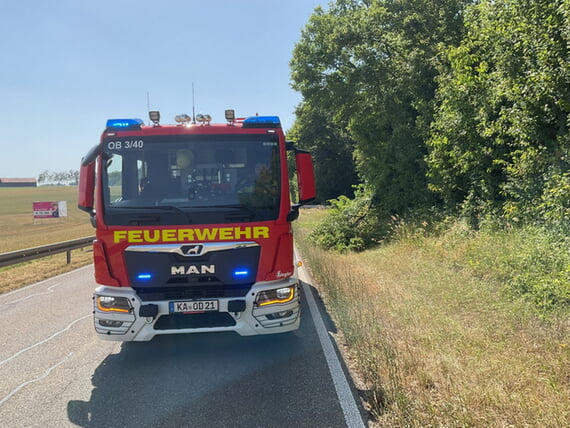 Ast neben Fahrbahn