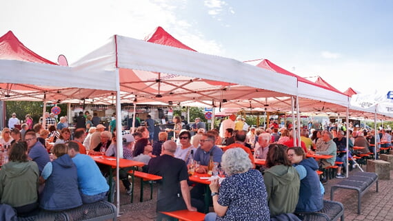 Weinprobe, Horn, September, 2026, 38. Ausgabe, Wein, 
