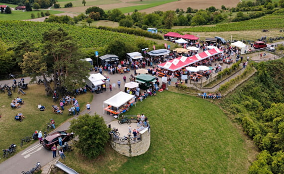 Weinprobe, Horn, September, 2026, 38. Ausgabe, Wein, 
