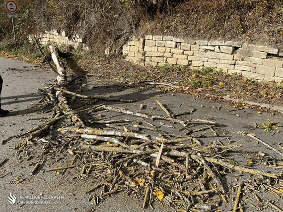 Baum auf Fahrbahn